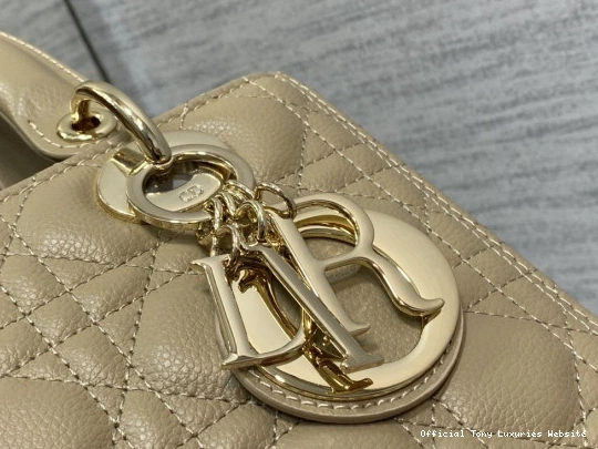 Tony Luxuries Gold Lady Calfskin-24cm diro large 0803